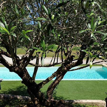 Chambre Saint Emilion - Le Clos D'Antan Les Artigues-de-Lussac Exterior photo